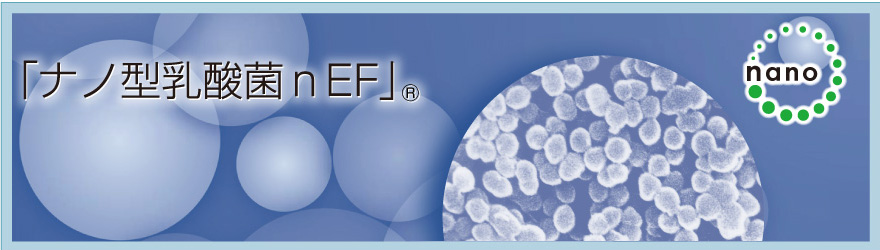ナノ型乳酸菌nEF
