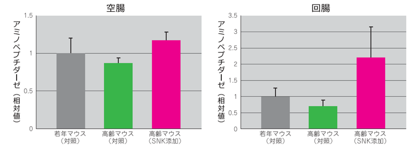 SNK非投与に対する相対値