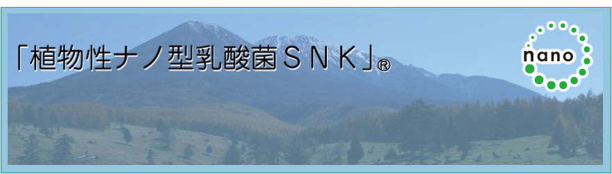 IHM 植物性ナノ型乳酸菌SNK