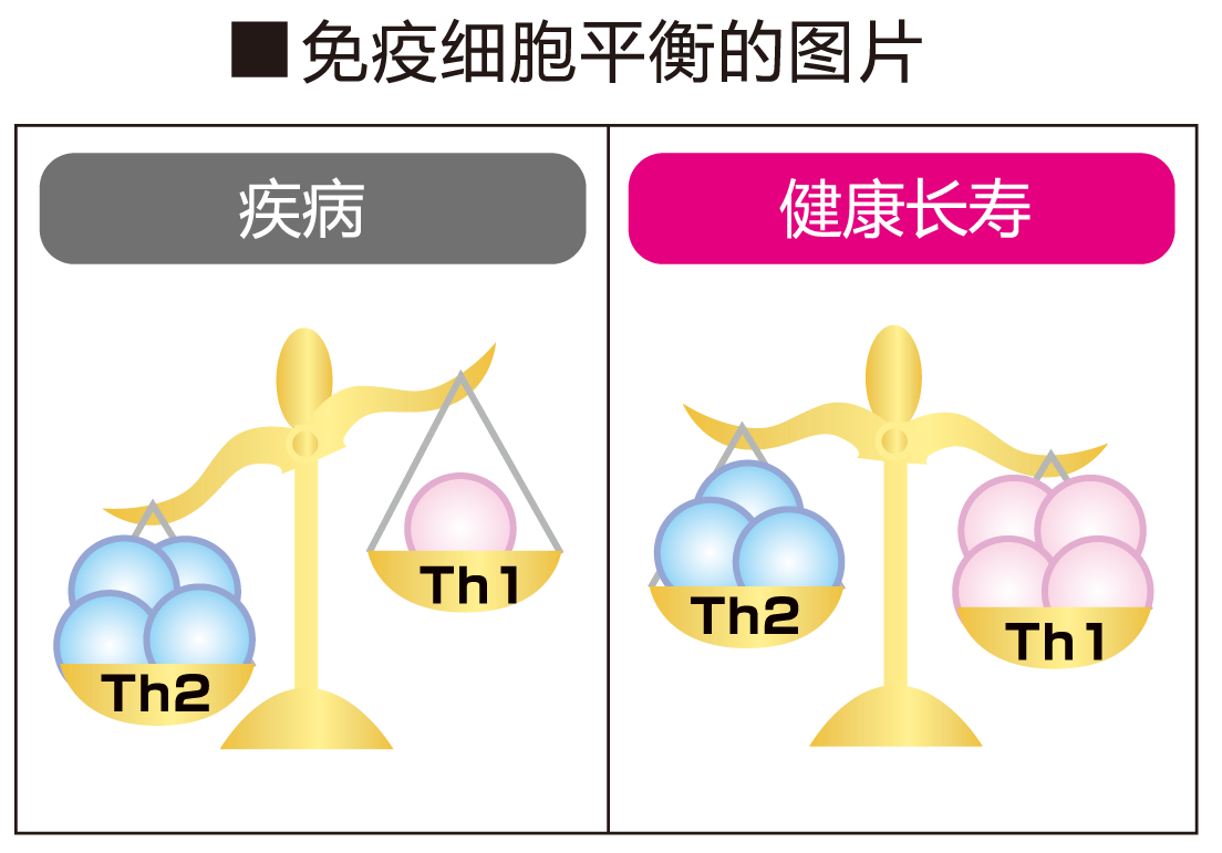 免疫细胞平衡的图片