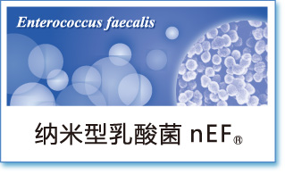 IHM 纳米型乳酸菌nEF