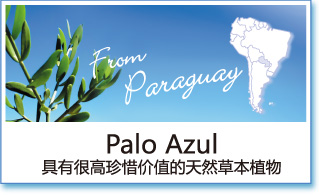 IHM Palo Azul