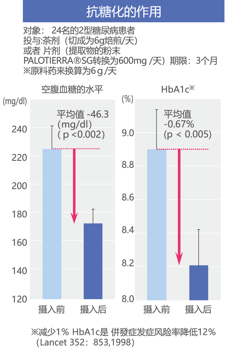 Palo Azul的抗糖化作用