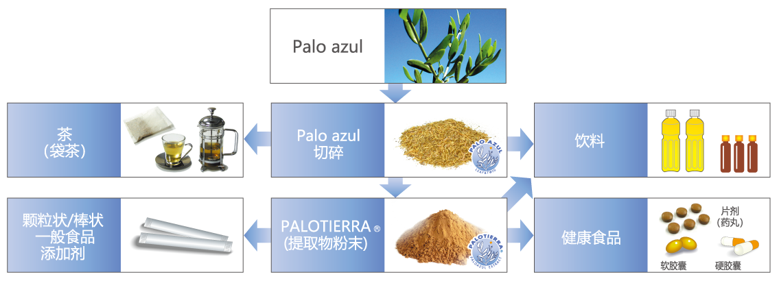 Palo Azul