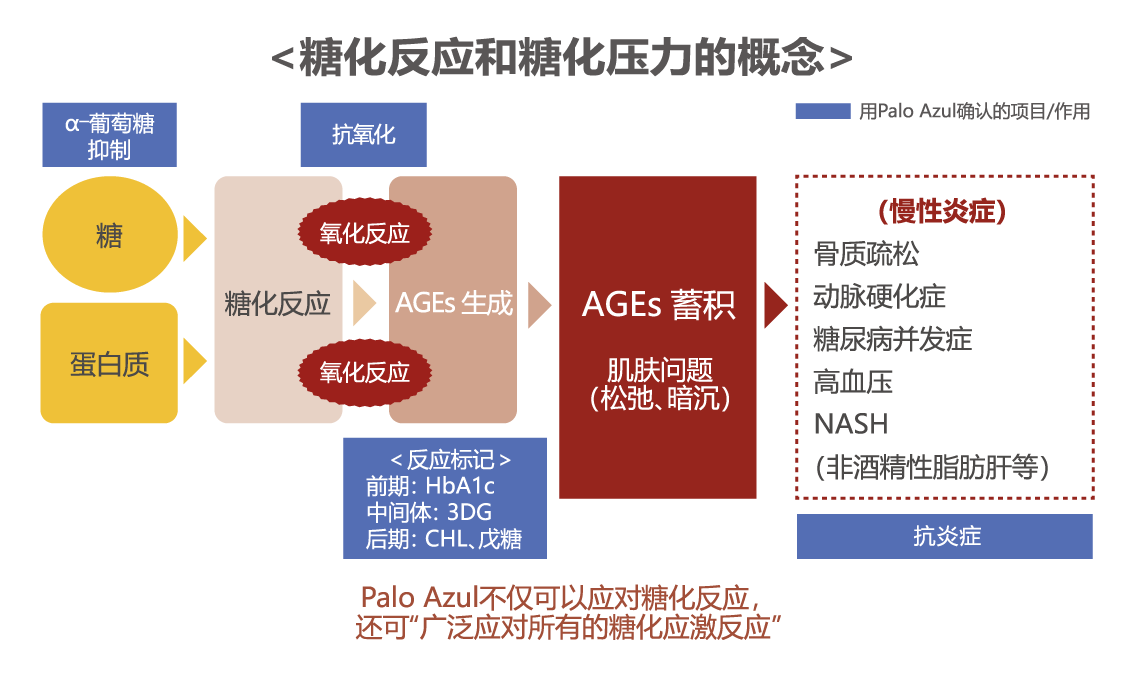 糖化反应和糖化压力的概念