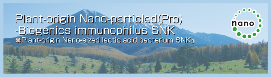 Plant-origin nano-sized lactic acid bacterium SNK