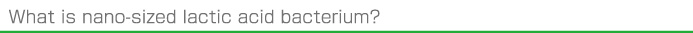 What is nano-sized lactic acid bacterium?