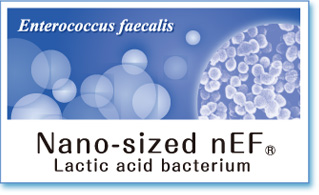 IHM materials, Nano-sized nEF