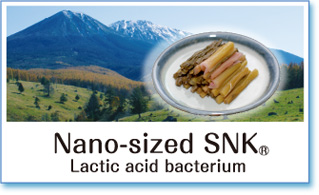 IHM materials, Nano-sized SNK