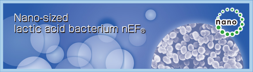 Nano-sized lactic acid bacterium nEF®