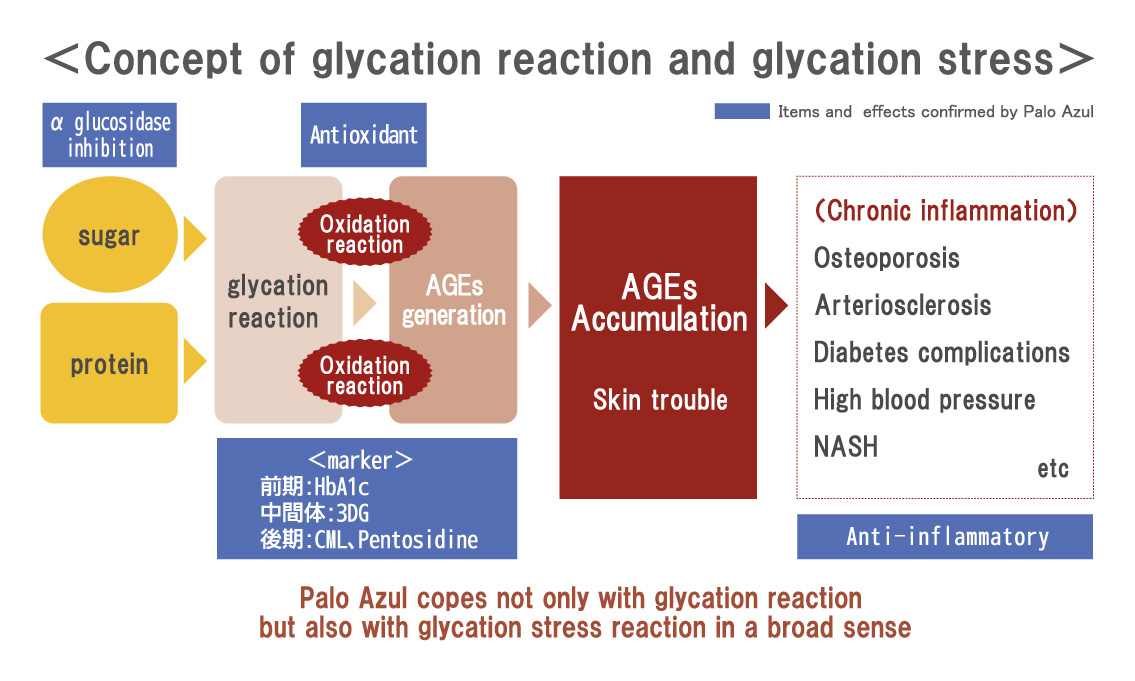 Palo Azul copes with glycation stress