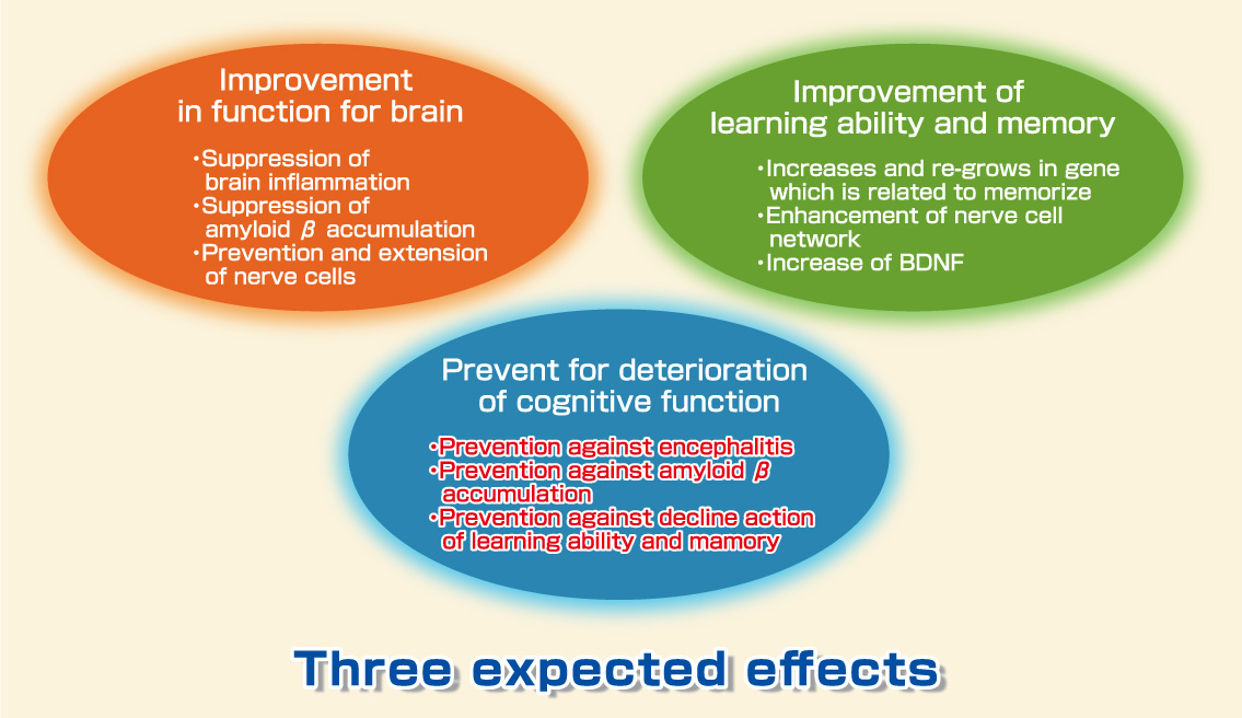 Plasmalogen improve cognitive, learning function and prevent dementia