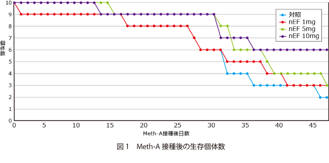 Meth-A接種後の生存個体数