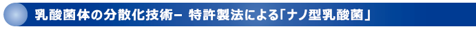 乳酸菌体の分散化技術 - 特許製法による「ナノ型乳酸菌」