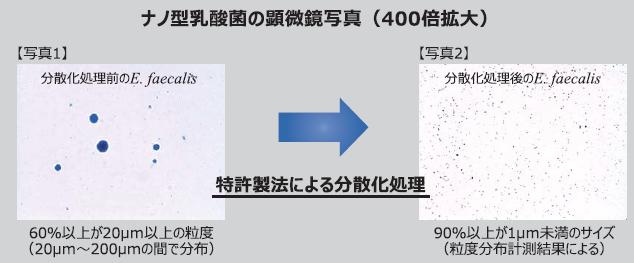 ナノ型乳酸菌nEFについて｜IHM原料 ナノ型乳酸菌nEF｜株式会社IHM