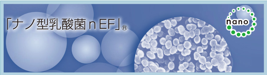 ナノ型乳酸菌nEFについて｜IHM原料 ナノ型乳酸菌nEF｜株式会社IHM