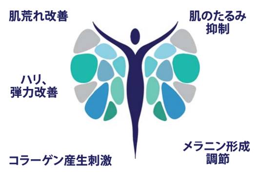 肌荒れ改善、ハリ・弾力改善、コラーゲン産生刺激、肌のたるみ抑制、メラニン形成調節