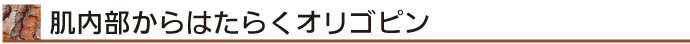 肌内部からはたらくオリゴピン