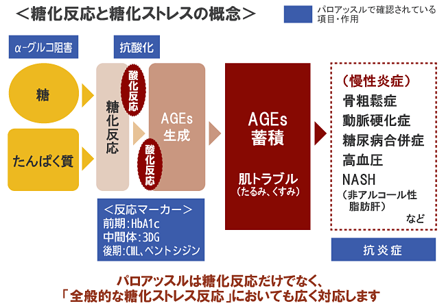 抗糖化とパロアッスル1