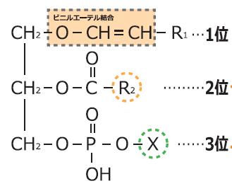 鶏プラズマローゲンの構造