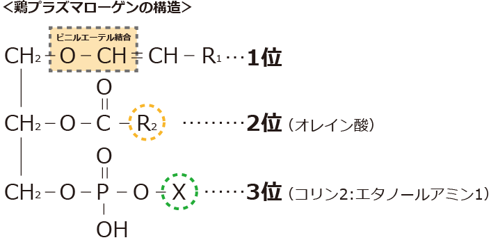 鶏プラズマローゲンの構造