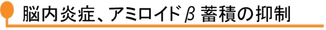 脳内炎症、アミロイドβ蓄積の抑制