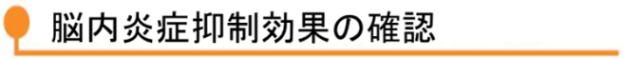 脳内炎症抑制効果の確認