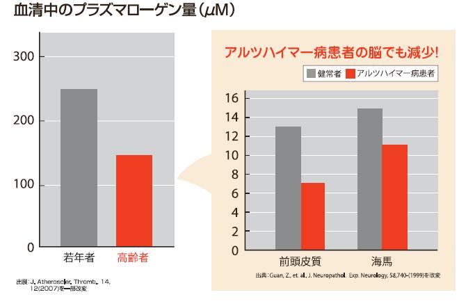 アルツハイマー病患者の脳でも減少！