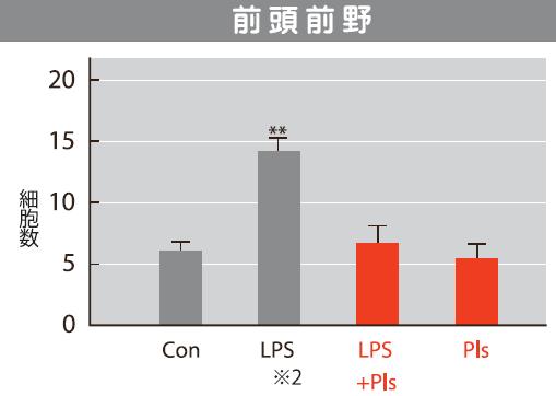 前頭前野で炎症が抑制された。