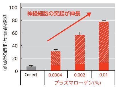 プラズマローゲンの添加によって神経細胞の突起伸長が促進された。