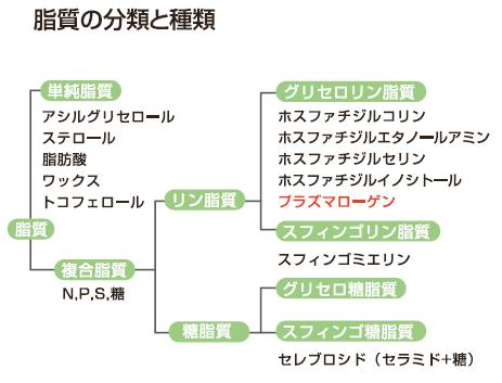 脂質の分類と種類